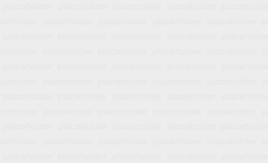 placeholder1
